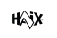 Patrick Utz als Vertriebstrainer für Haix